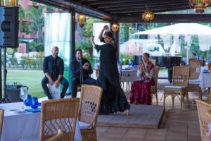 A Flamenco Dancer in action.