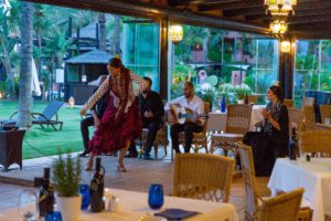 A Flamenco Dancer in action.