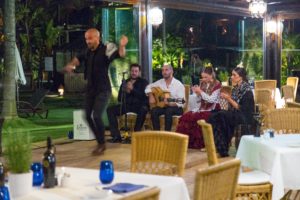 A Flamenco Dancer in action.