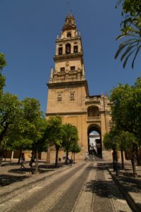 The bell tower from the Patio de los Naranjos. 