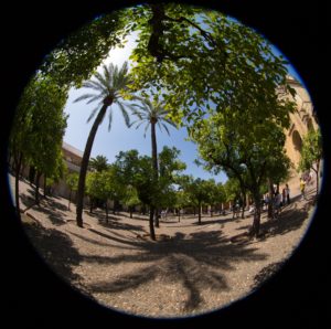 A fisheye view of the Patio de los Naranjos.