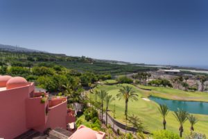 The farm in the upper center is growing bananas. Golf and bananas are big here.