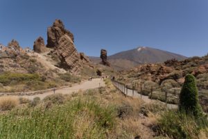 In El Parque Nacional del Teide, already at 7700 feet.